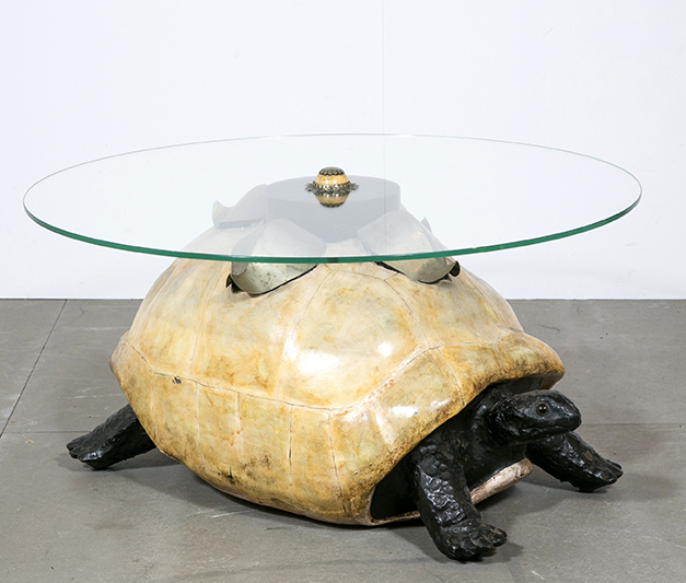 Position Tortue Table Basse - france et joel enfin dans le sud de la France ... / Nous pouvons ...